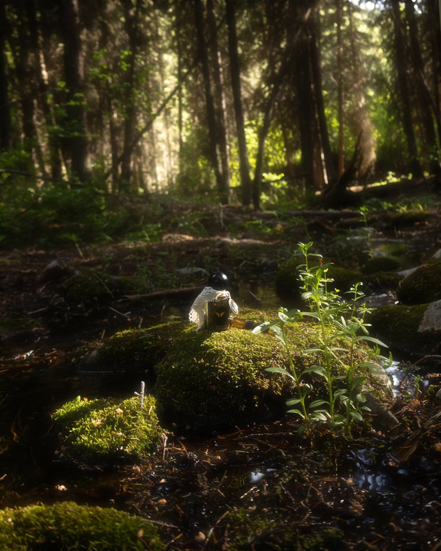 Ethereal Melancholy- Extrait de Parfum