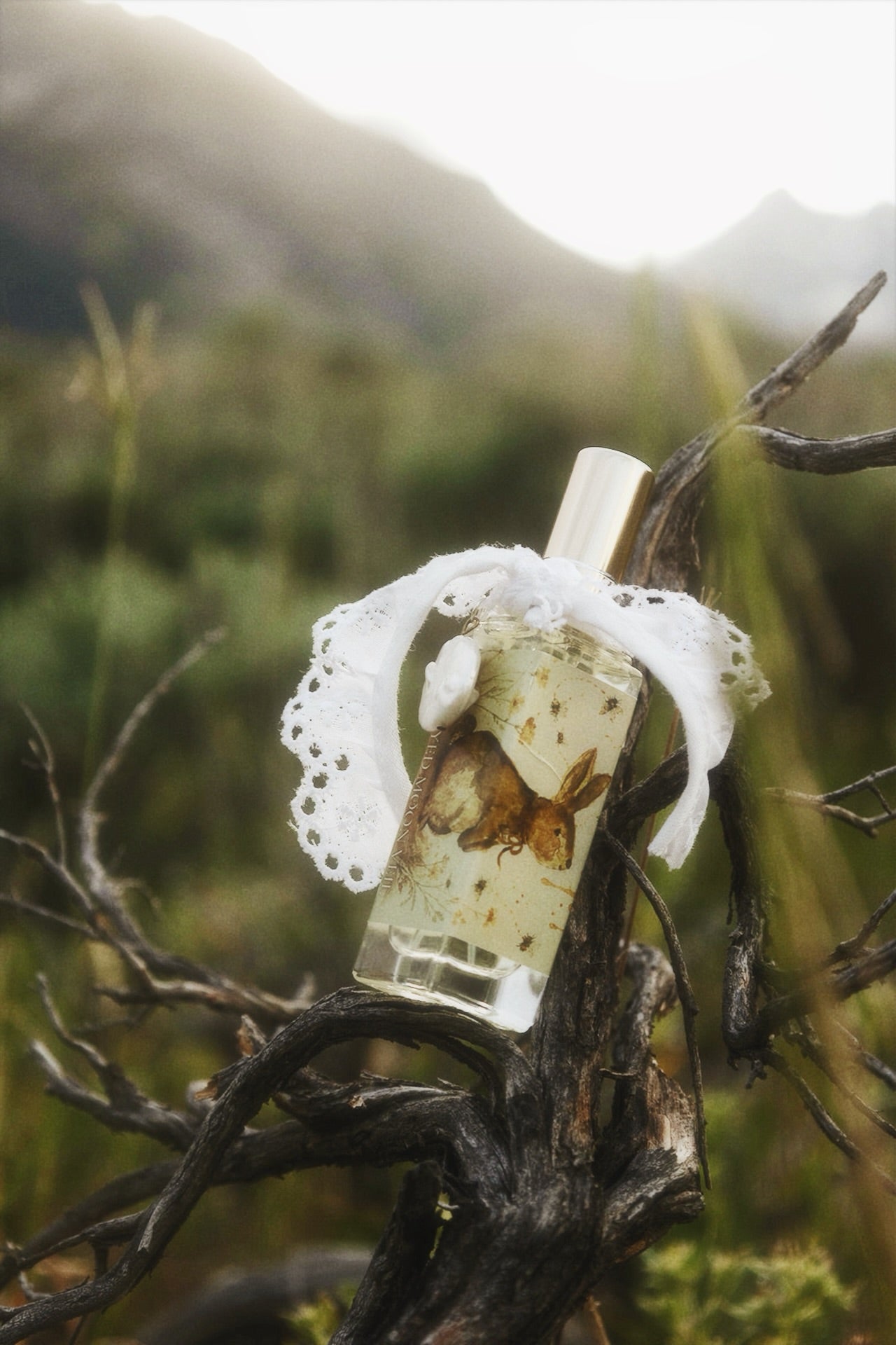 Honeyed Moon Veil — Extrait de Parfum