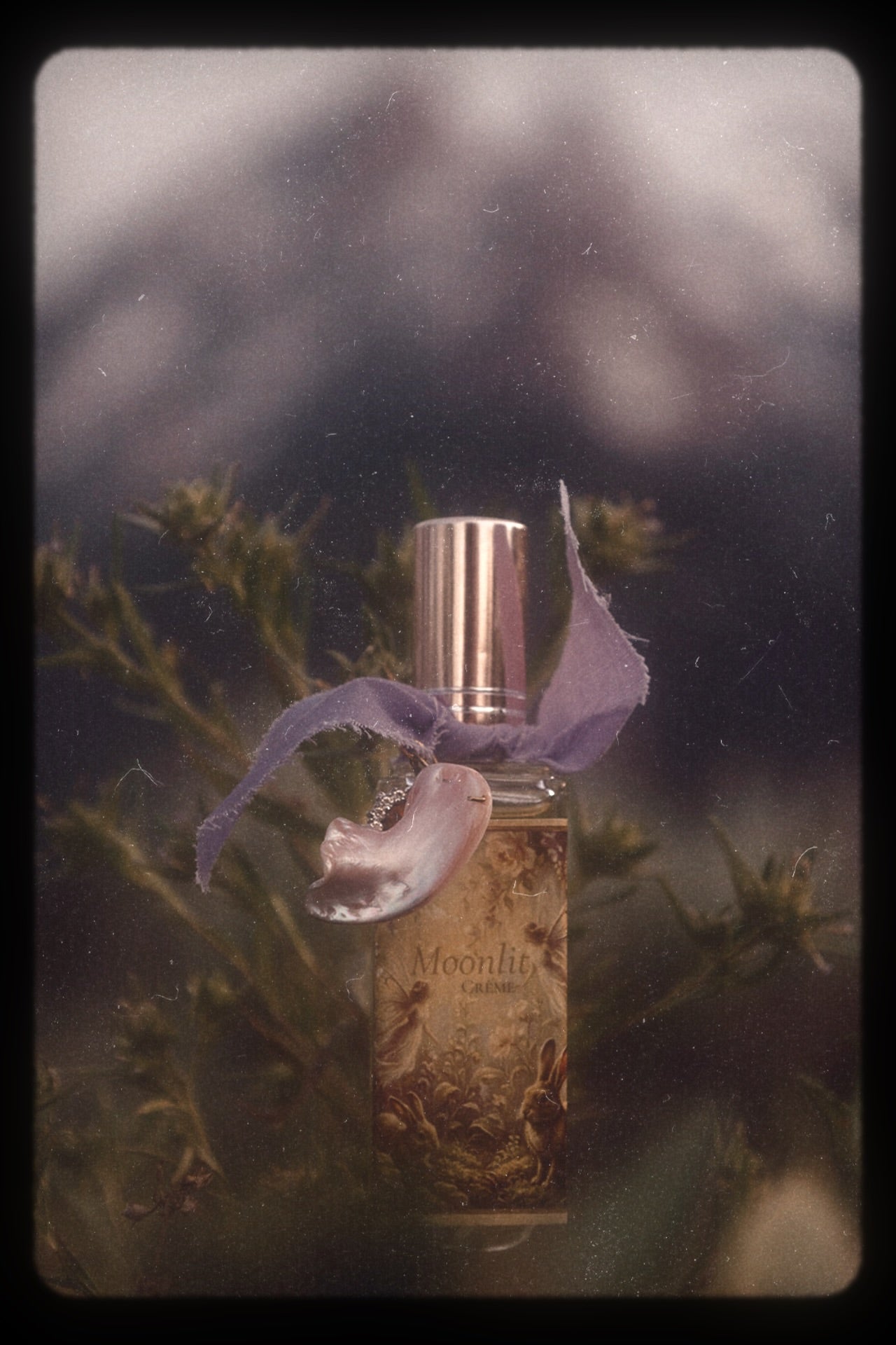 Moonlit Crème | Eau de Parfum