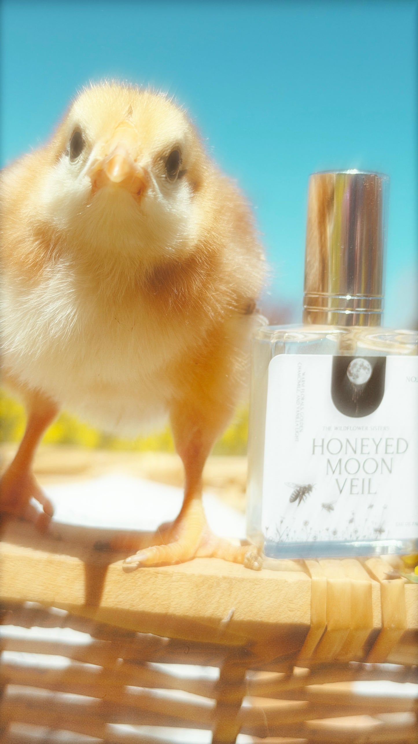 Honeyed Moon Veil — Extrait de Parfum