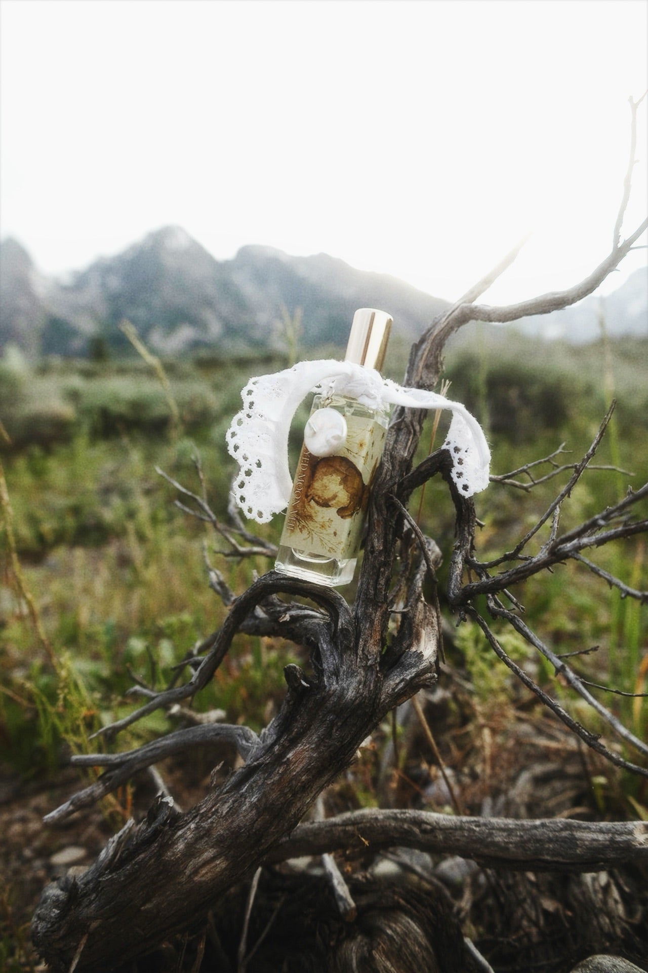 Honeyed Moon Veil — Extrait de Parfum
